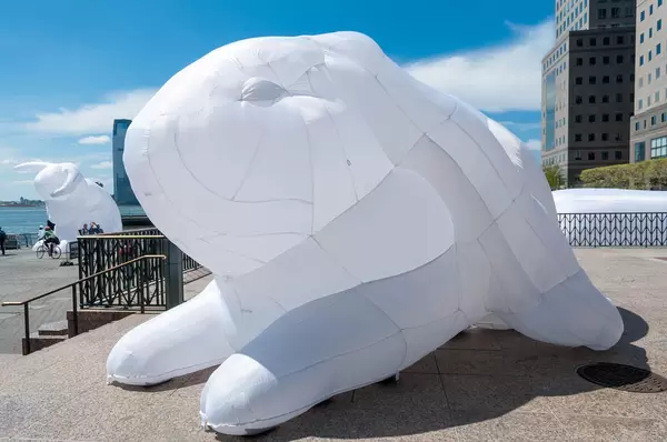 Intrude: White Rabbits in New York