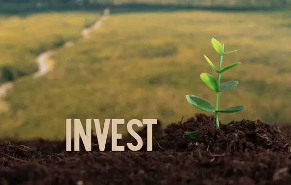 Invest text with small plant on a dirt