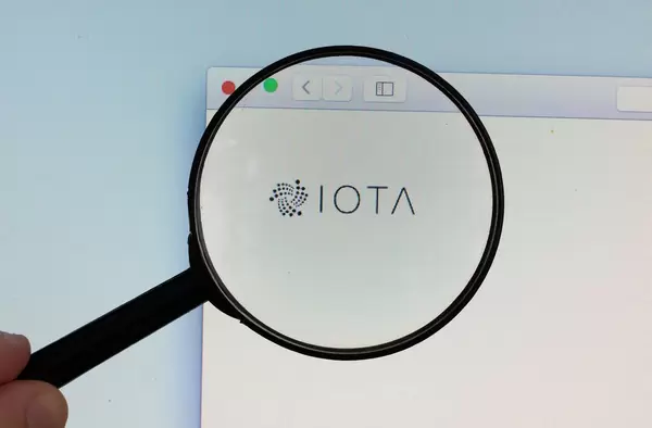 IOTA logo on a computer screen with a magnifying glass