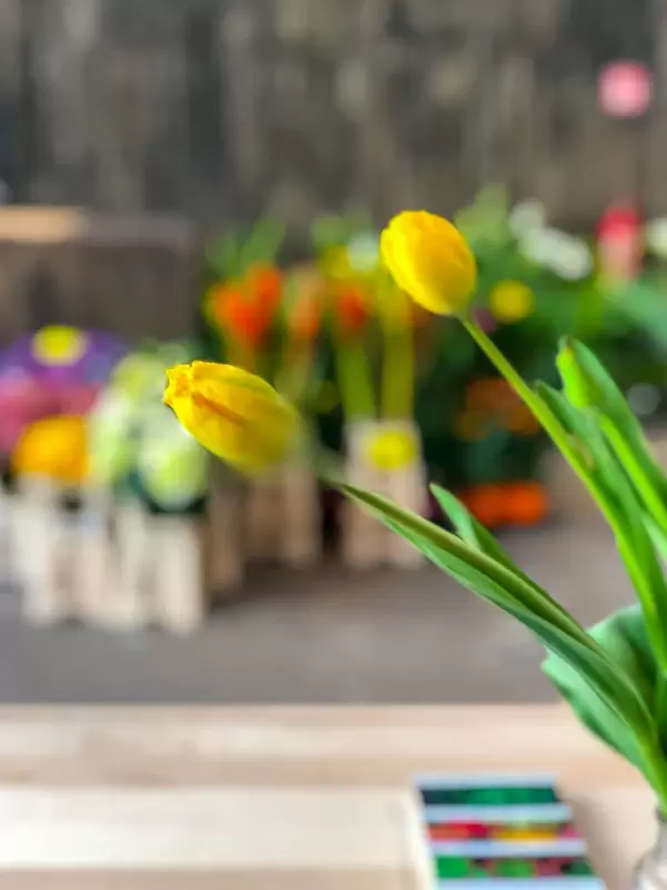 iPhone X's portrait mode with fake bokeh