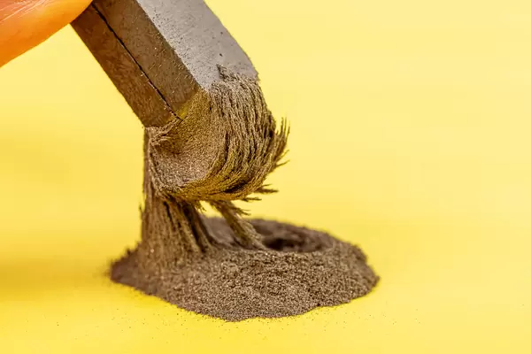 Iron filings in a magnetic field