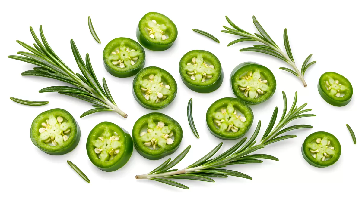 Jalapeño-Scheiben und Rosmarinzweige auf Weiß