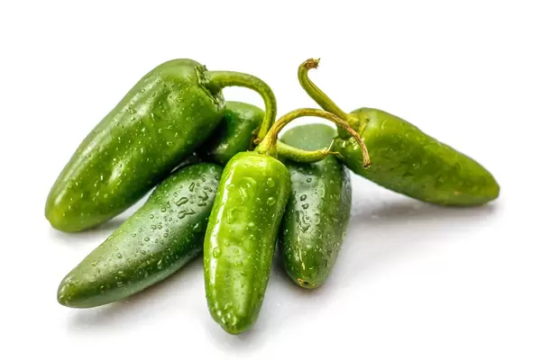 Jalapeños vor weißem Hintergrund