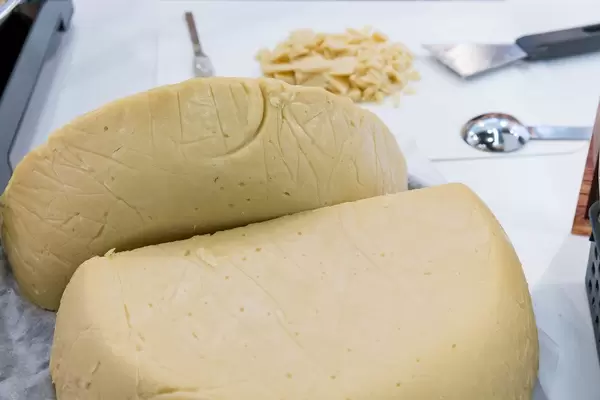 Japanischer veganer Käse