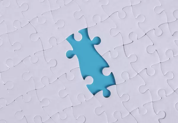 Jigsaw puzzle with two missing pieces