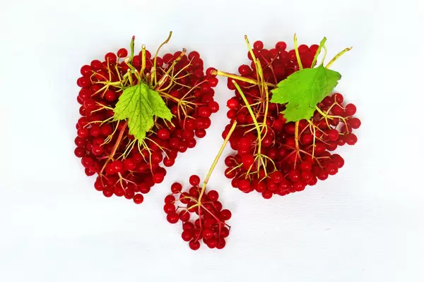 Johannisbeeren