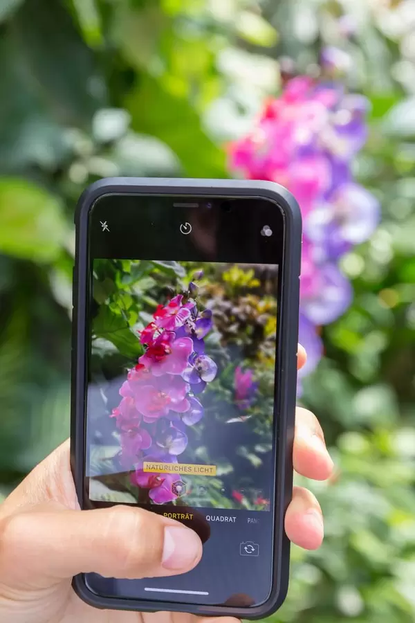 Junge Frau fotografiert mit Handy eine Orchidee im Wiener Schmetterlinghaus