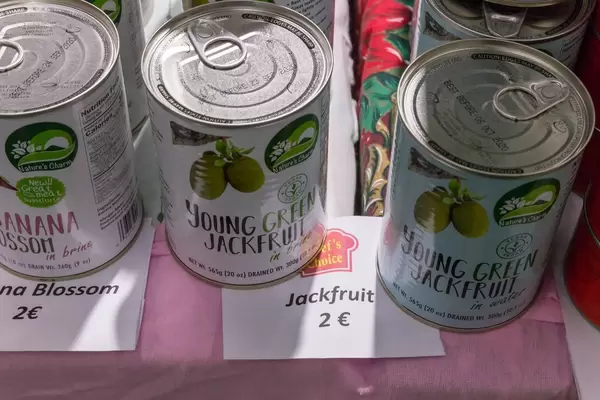 Junge grüne Bio-Jackbaumfrüchte in Dosen