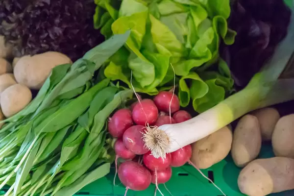 Jungzwiebel, Radieschen, Kartoffeln, Blattsalat und Bärlauch