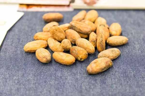 Kakao-Bohnen