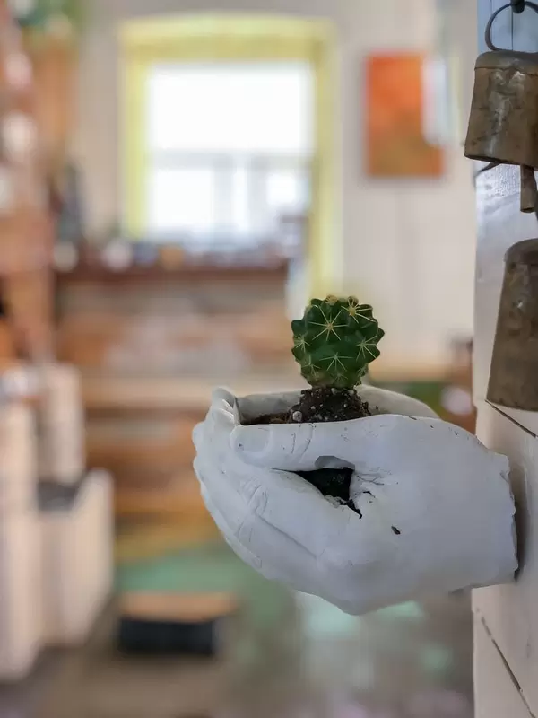Kaktus in zwei Händen aus Gips