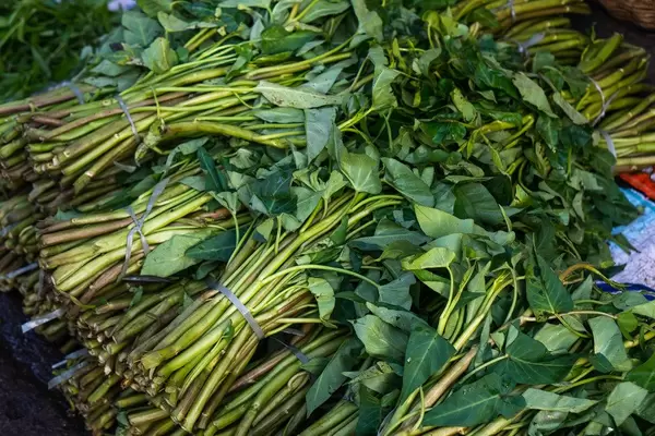 Kangkong leaves bundled together (Flip 2019)