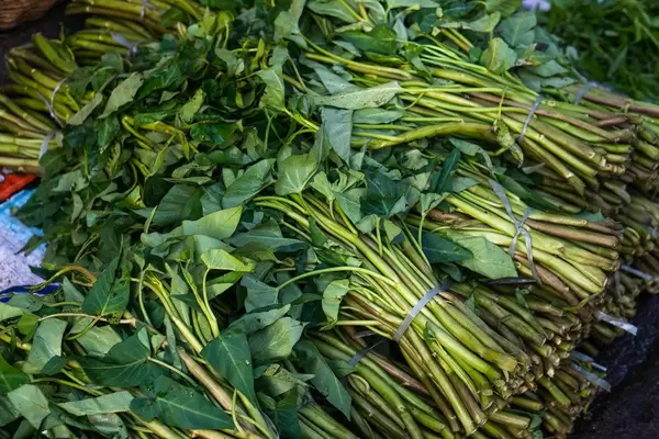 Kangkong leaves bundled together