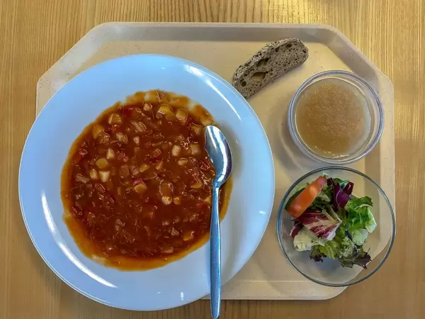Kantinenmenu mit Gulasch, grünem Salat mit Tomate, Apfelmus und Brotscheibe auf Tablett