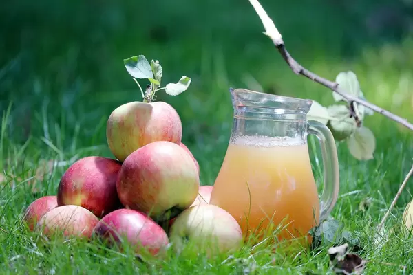 Karaffe von Apfelsaft und gestapelte Äpfel auf einer Wiese