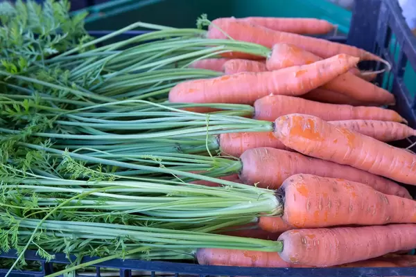 Karotten Schalotten mit Möhrengrün am Timeout Market in Lissabon
