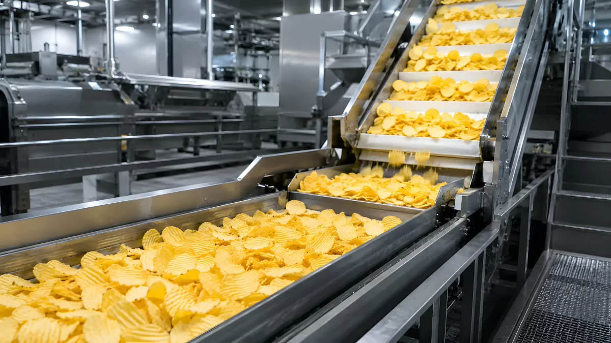 Kartoffelchips auf Fabrik-Förderband in Produktion