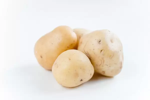 Kartoffeln / Potatoes