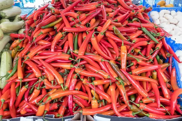 Kartonkisten mit rotem, scharfem Paprika auf dem Markt