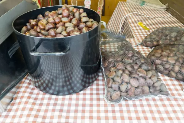 Kastanien in Netzsäcken und im Topf