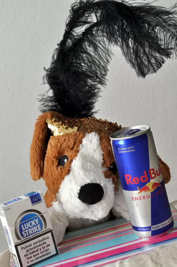 Katerfrühstück Teil 2