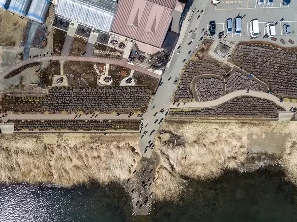 Kawaguchiko Natural Living Center Aerial View