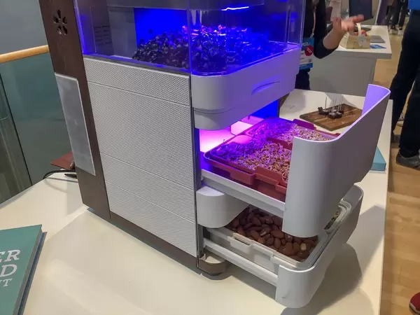 Keimstation mit UV Licht für Samen