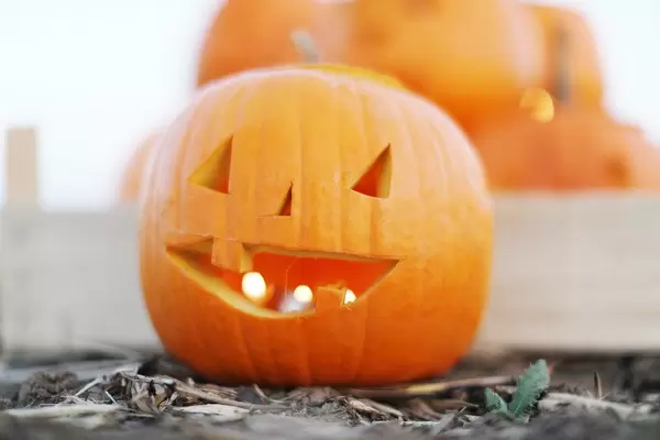 Kerzen in einem geschnitzten Kürbis als Halloweendeko