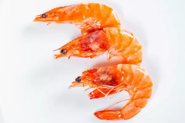 King prawns on white background  Flip 2019