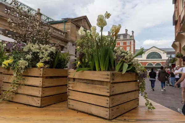 Kisten mit Blumen am Markt in London