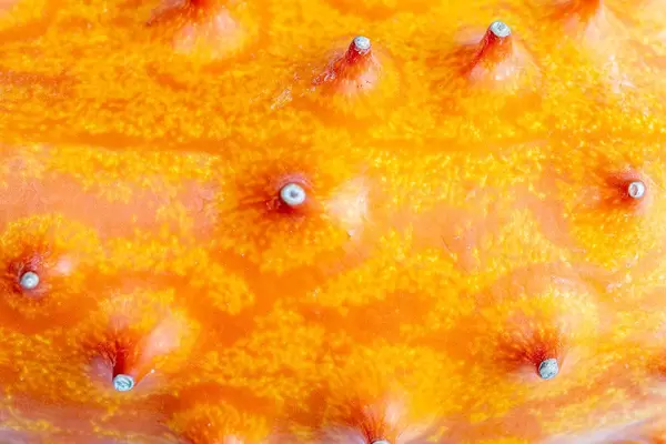 Kiwano (Cucumis metuliferus), kiwano orange background