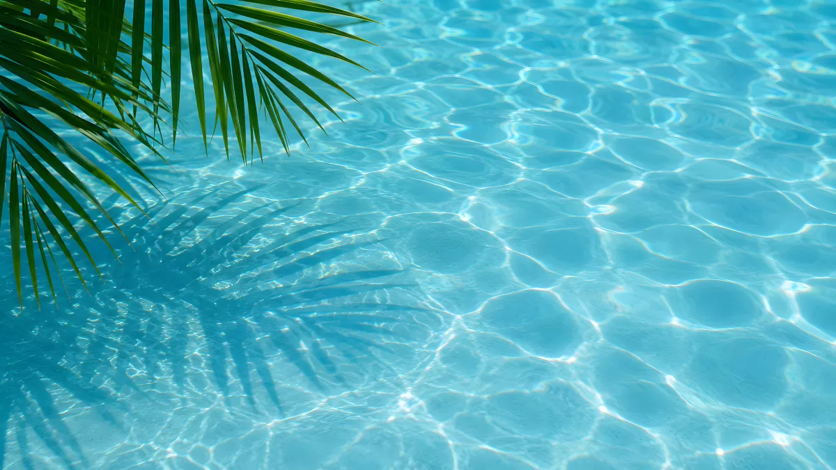 Klares Poolwasser mit Palmenblatt-Schatten im Sommer