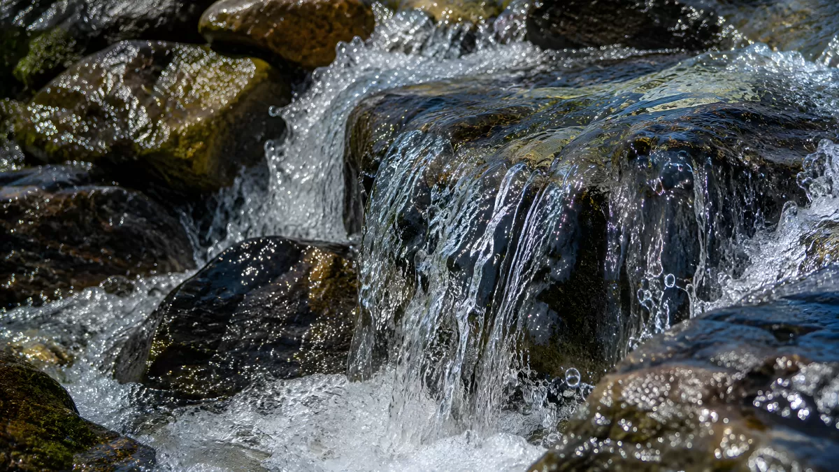 Klares Wasser fließt über bemooste Felsen im Bach