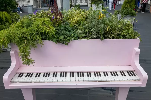 Klavier umfunktioniert zu einem riesigen Blumentopf