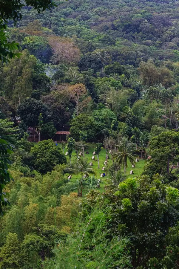 Kleine Farm für Kampfhähne im Wald von Don Salvador Benedicto in der Provinz Negros Occidental auf den Philippinen