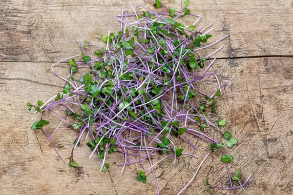 Kleine Kohlsprossen auf Holzoberfläche in Top-view