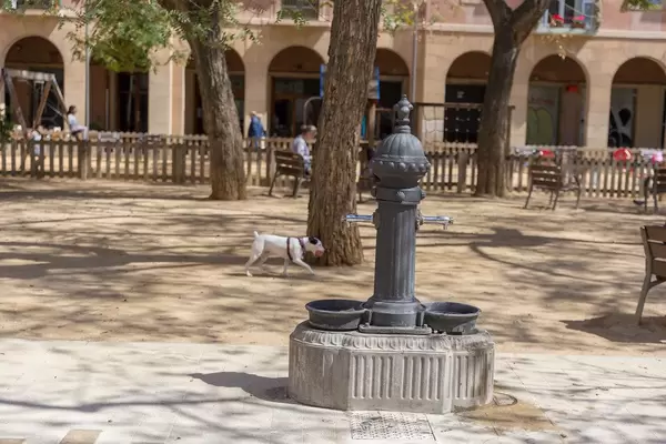 Kleiner, weißer Hund trägt einen Ball hinter einem alten Brunnen am Plaça de Vicenç Martorell Park in Barcelona, Spanien