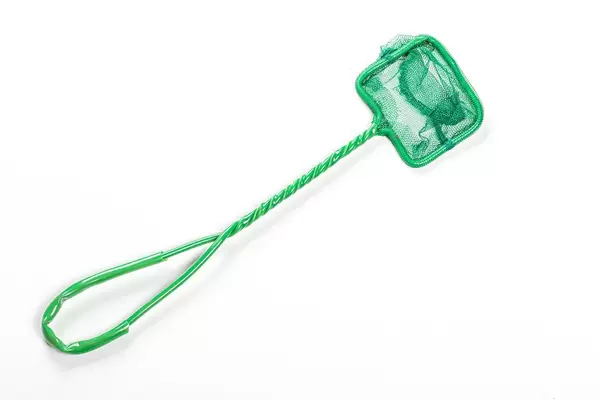 Kleines grünes Aquarium Netz vor weißem Hintergrund