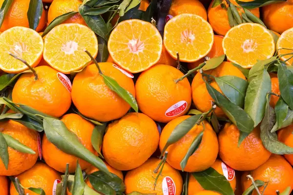 Klementinen mit Stil und Blättern