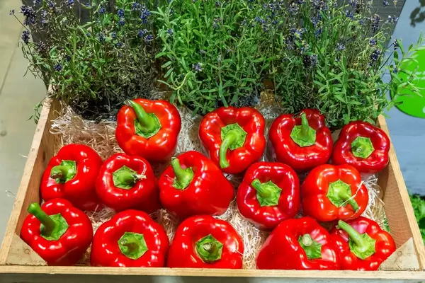 Knackige, rote Paprika in einem Holzkorb