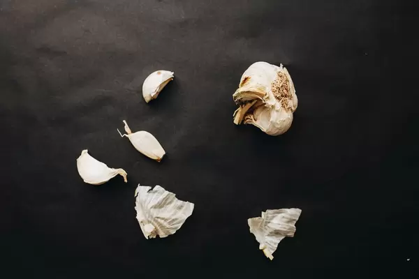 Knoblauchknolle und verstreute Knoblauchzehen vor dunklem Hintergrund. Draufsicht