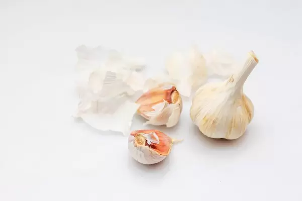 Knoblauchzehen und ein ganzer Knoblauch vor weißem Hintergrund