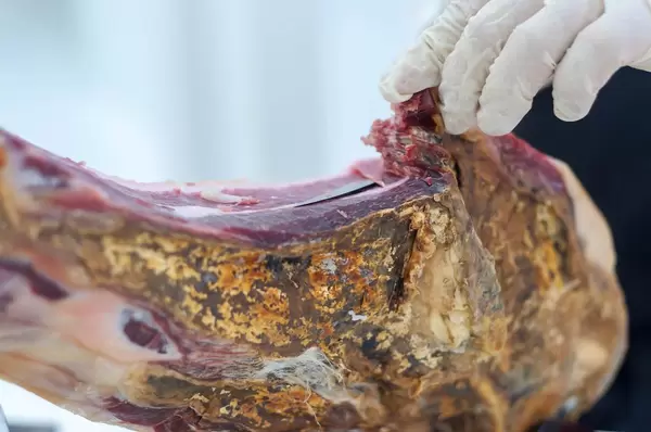 Koch schneidet Prosciutto