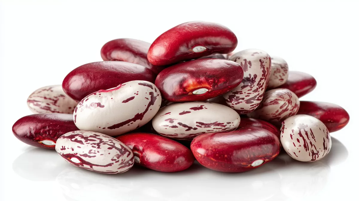 Köstliche rot-weiße Bohnen als Nahaufnahme