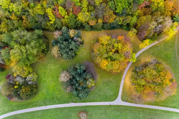 Kölner Grüngürtel am Stadtrand: Luftaufnahme zeigt ein buntes Waldstück mit Park im Herbst