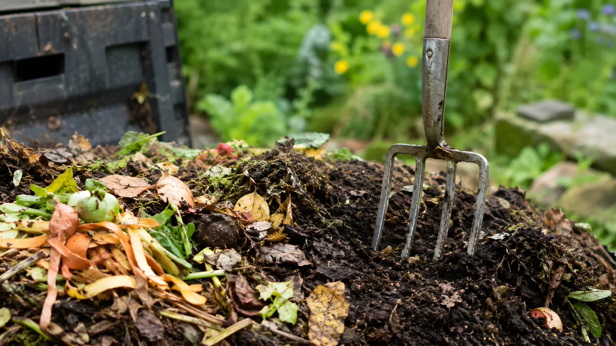 Komposthaufen mit Gartenabfällen und Grabegabel