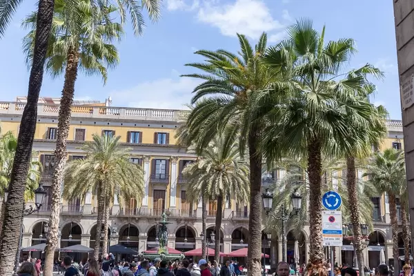 Königlicher Platz " Plaça Reial" mit Touristengruppen unter Palmenbäumen in Barcelona, Spanien