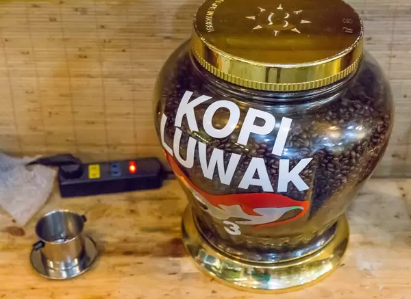 Kopi Luwak: Kaffee in Vietnam