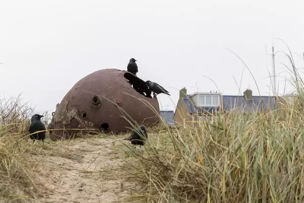 Krähen sitzen auf rostiger Kugel mit Löchern, die im Gras liegt