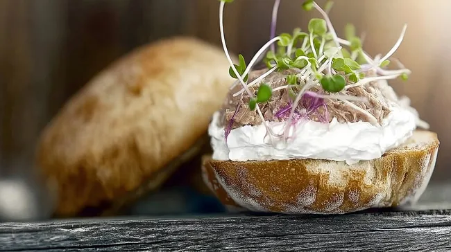 Kreative Brotscheibe mit frischen Sprossen und Quark